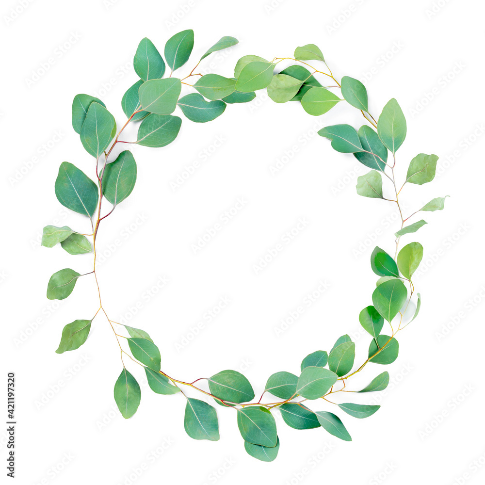 Floral round frame, eucalyptus leaves on white background. Wreath made of eucalyptus branches. Flat lay, top view with copyspace for text. Minimal botanical design