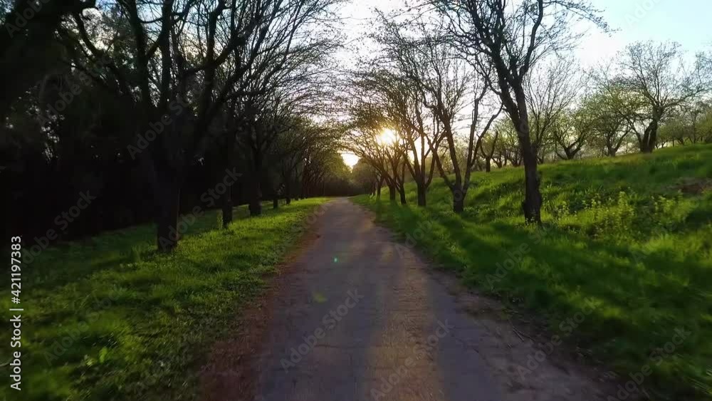Riding in the forest path in the early spring. POV via action camera. Riding in the forest path in the early spring. POV via action camera.