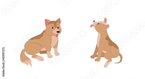 Happy puppies flat color vector detailed character set. Friendly dog sitting. Obedient domestic animal. Pet care isolated cartoon illustration for web graphic design and animation collection