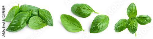Fotografie, Tablou Fresh basil leaf isolated on white background with clipping path and full depth of field