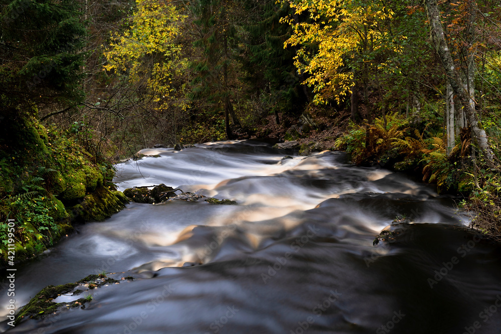 Amazing mountain waterfall landscape. Autumn forest and waterfall background. Amazing mountain waterfall landscape. Autumn forest and waterfall background.