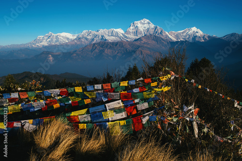 Prayer flags with snowy mountain in the morning at poon hill, Nepal photo