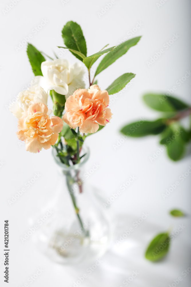 Fototapeta premium Orange and white carnation flowers in glass vase on white background.