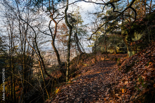 Tourist route, autumn forest near Drabske svetnicky protected landscape area, fallen leaves, naked trees and blue sky, winter sunny day Hiking Golden Trail of Bohemian Paradise, Czech Republic photo