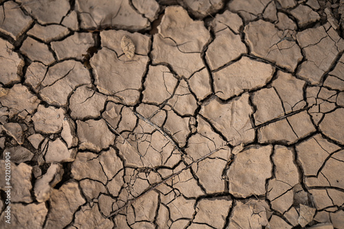 dry cracked earth