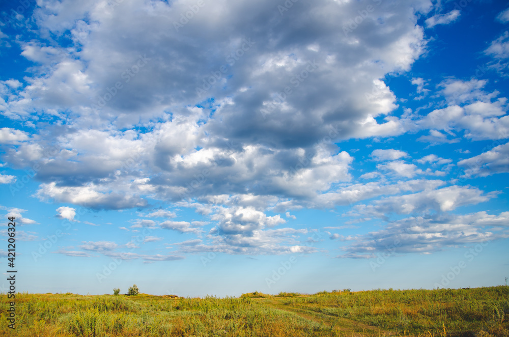 Countryside landscape grassy field and blue sky with gray clouds