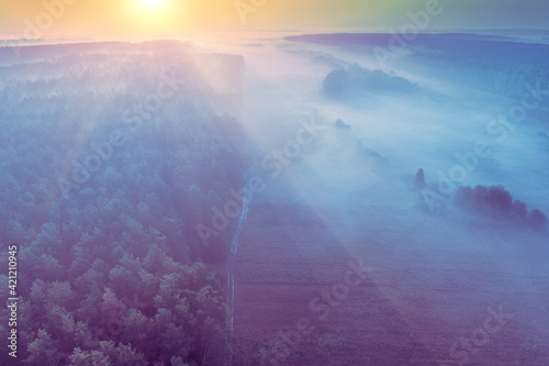 Early misty morning. Sunrise over pinewood and meadow. The countryside in the morning. Top view