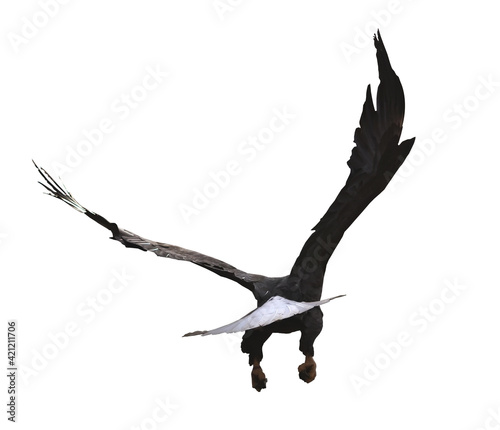 Obraz na płótnie Eagle flying isolated at white w salonie
