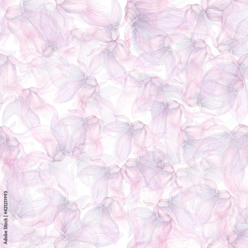 Obraz premium seamless pattern of translucent magnolia petals