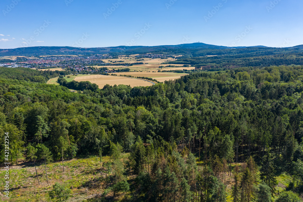 Bird's eye view of the partially destroyed forest in the Taunus / Germany in summer 