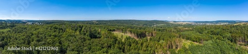 Bird's eye view of the partially destroyed forest in the Taunus / Germany in summer 