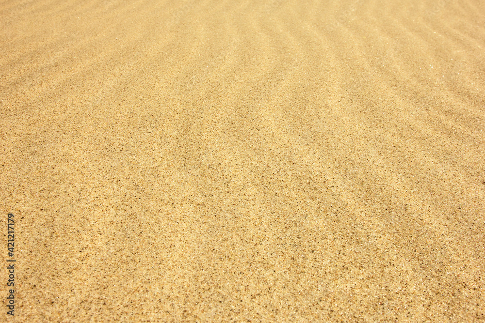 sand texture background
sand texture background