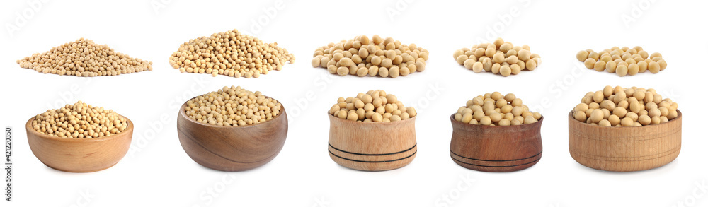 Set with soya beans on white background. Banner design Set with soya beans on white background. Banner design