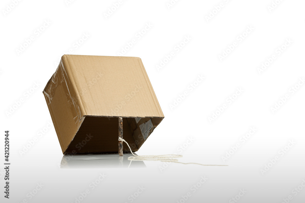 Foto Stock cardboard box with stick as trap | Adobe Stock