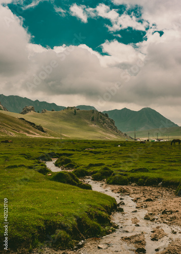 Stream and landscape view in Gorkhi Terelj National Park  Mongolia. July 2018.