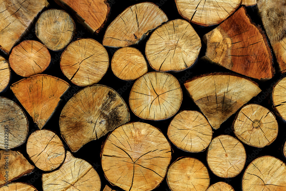 Fototapeta premium stack of firewood