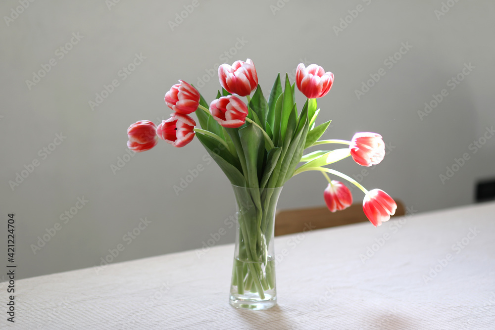 Bouquet of beautiful bicolor tuips in vase on the table. Copy space Bouquet of beautiful bicolor tuips in vase on the table. Copy space