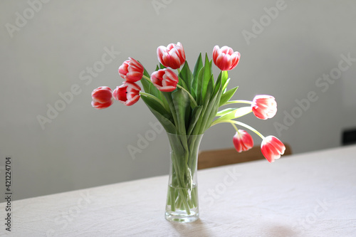 Bouquet of beautiful bicolor tuips in vase on the table. Copy space