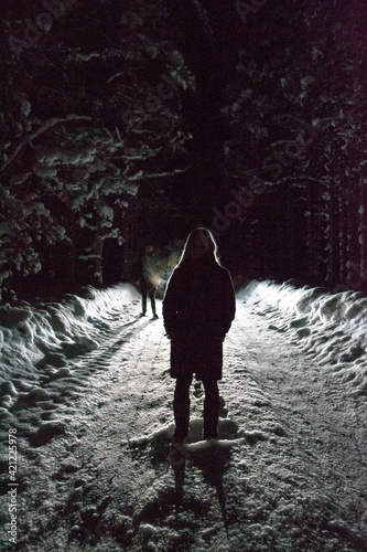 silhouette of a person walking in the snow © TuuliNele