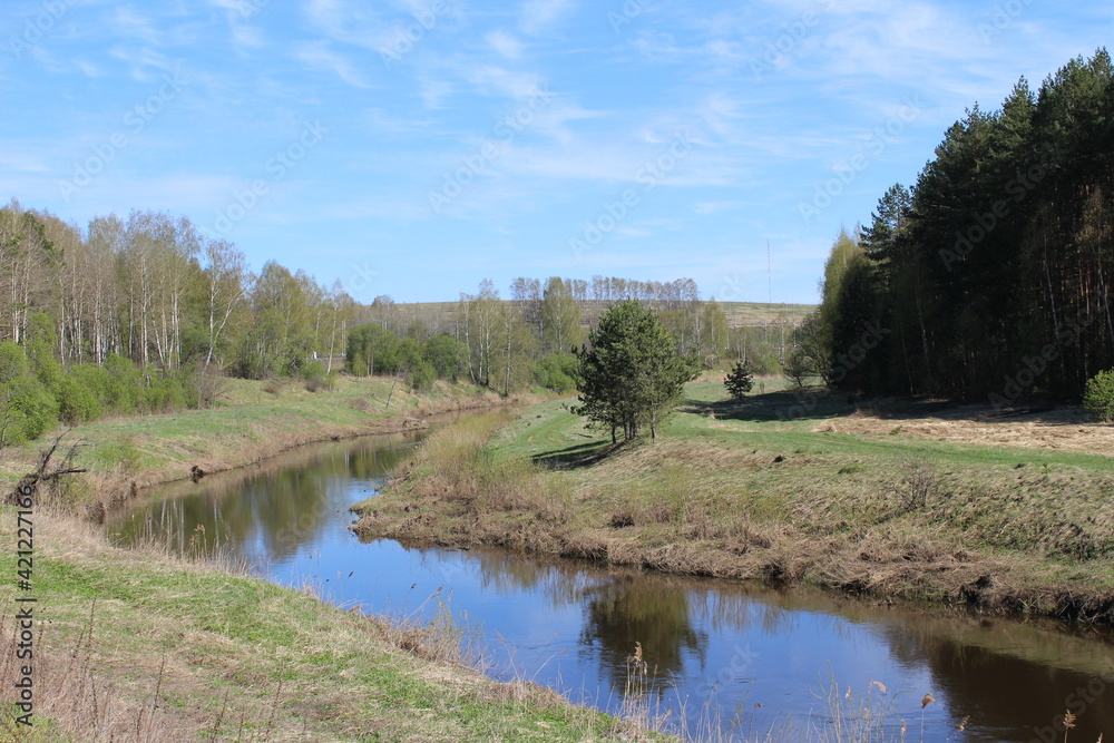 river in the forest