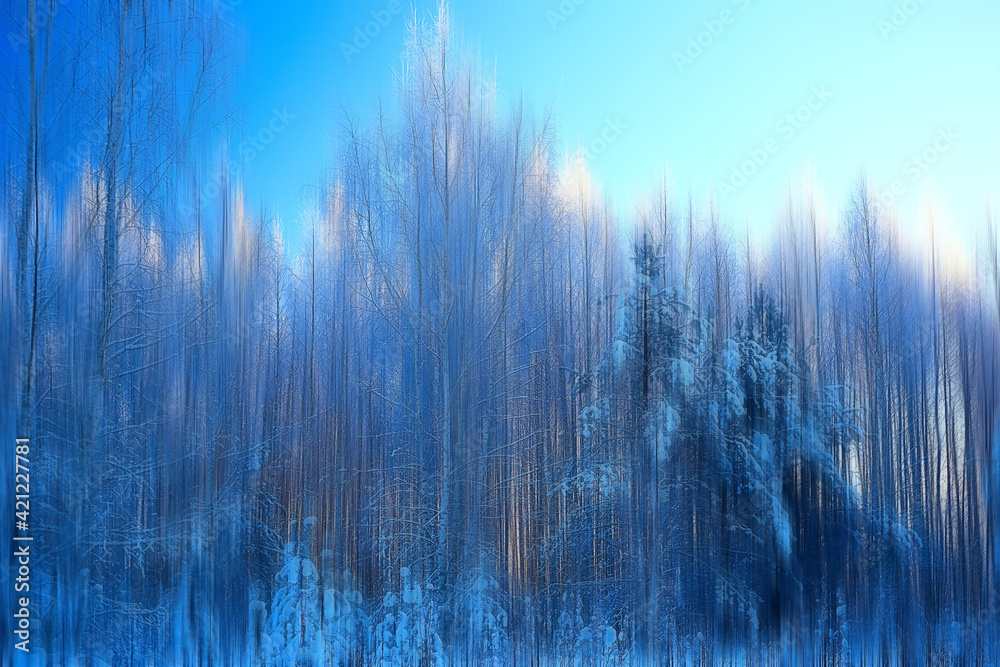 abstract forest blurred winter vertical lines / winter forest background, abstract landscape abstract forest blurred winter vertical lines / winter forest background, abstract landscape