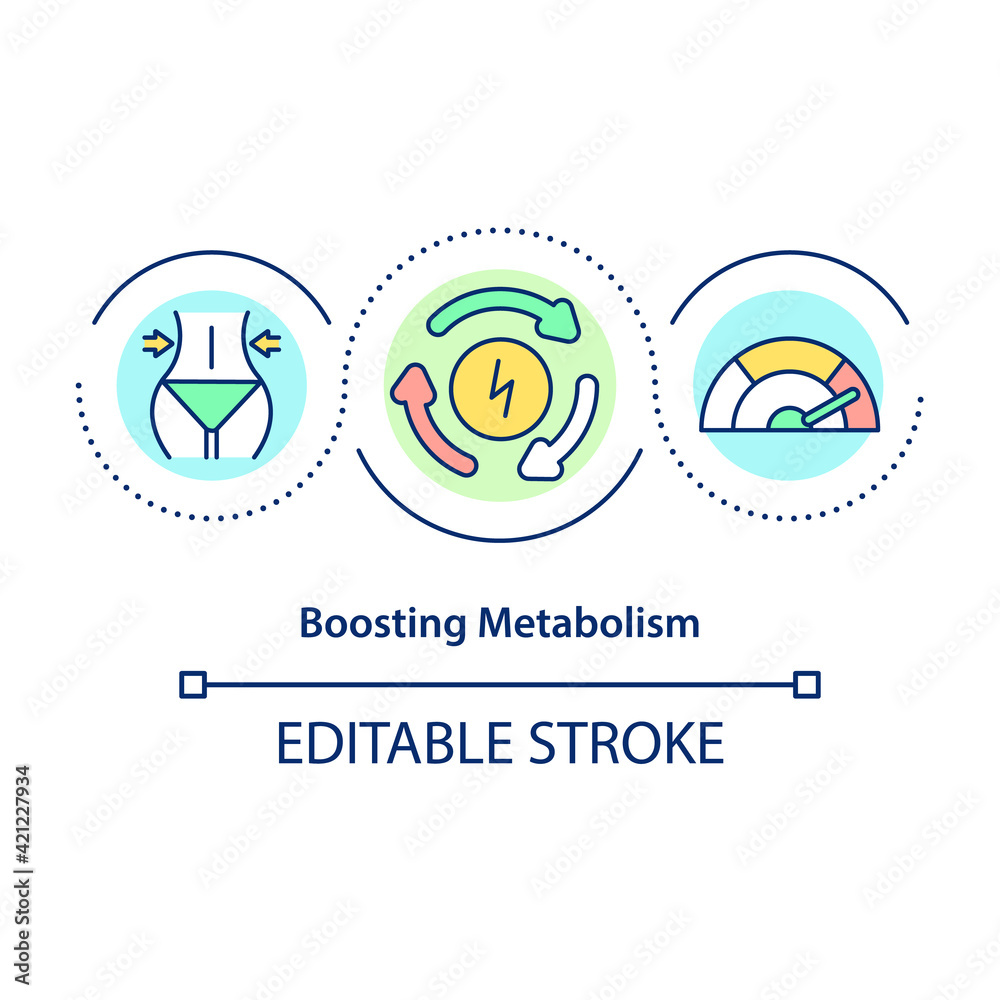 Boosting metabolism concept icon. Nutrition and exercise. Healthy eating. Intermittent fasting benefit idea thin line illustration. Vector isolated outline RGB color drawing. Editable stroke Boosting metabolism concept icon. Nutrition and exercise. Healthy eating. Intermittent fasting benefit idea thin line illustration. Vector isolated outline RGB color drawing. Editable stroke