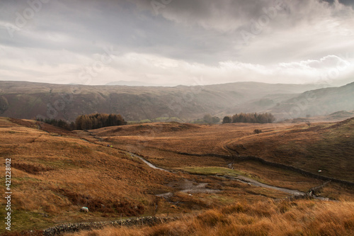 dramatic autumn landscape image taken in Lake District , Cumbria