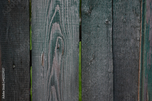 Old wooden fence with shabby paint. Background. Wood texture
