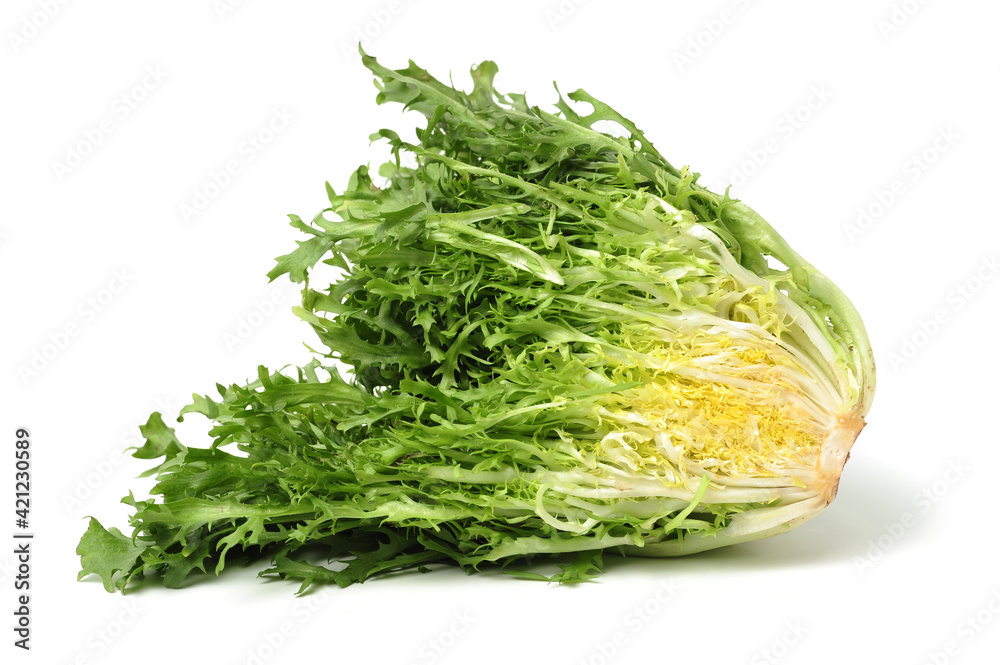 escarole endive isolated on a white background escarole endive isolated on a white background