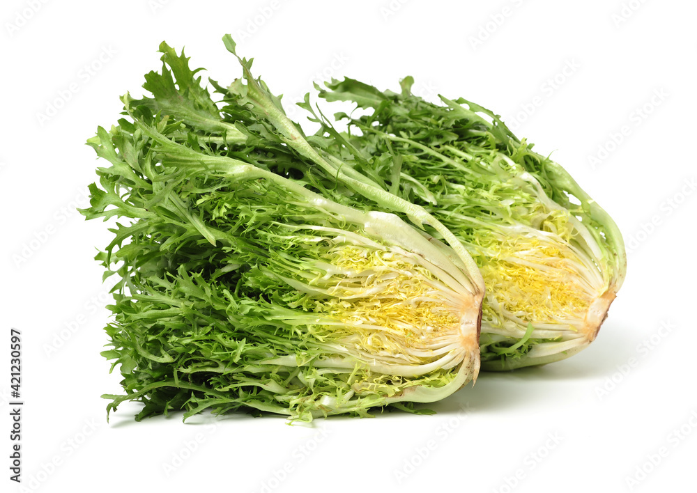 escarole endive isolated on a white background escarole endive isolated on a white background