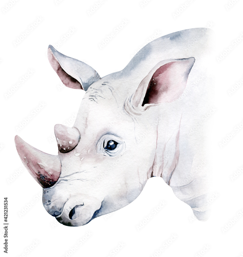 Obraz premium Africa watercolor savanna rhino animal. African Safari cute animals portrait character.Perfect for wallpaper print, packaging ,invitations, wedding design