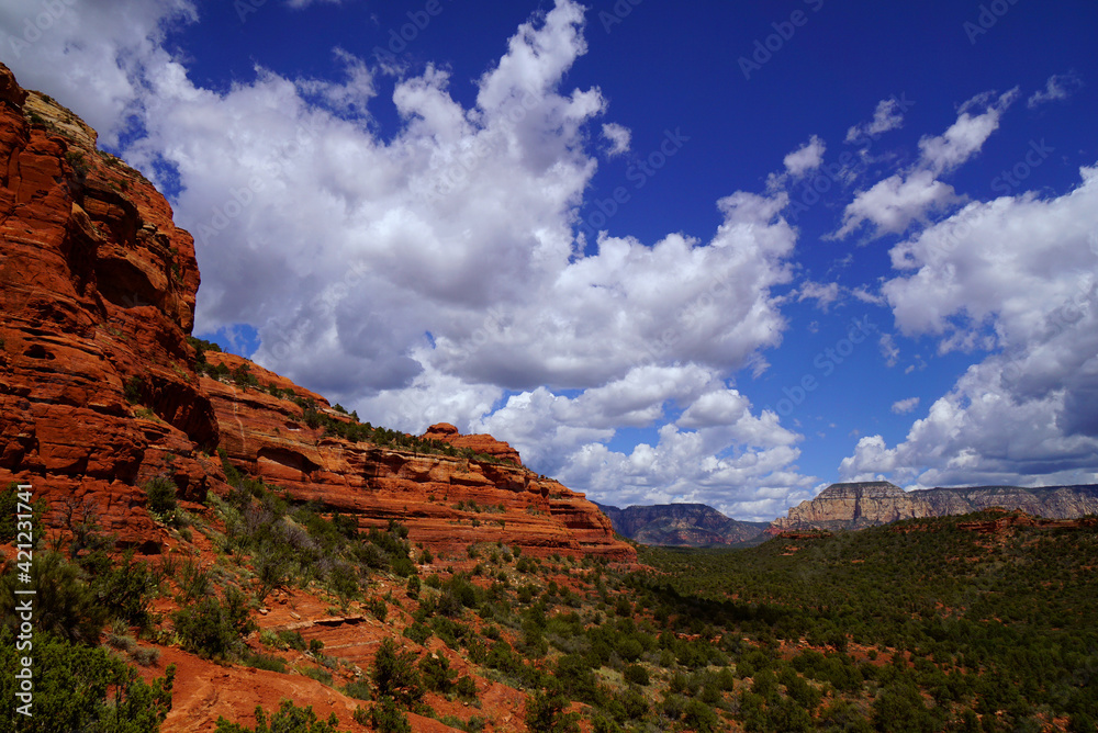 Fototapeta premium アメリカ ボルテックス溢れるヒーリングの聖地「セドナ」の赤い大地