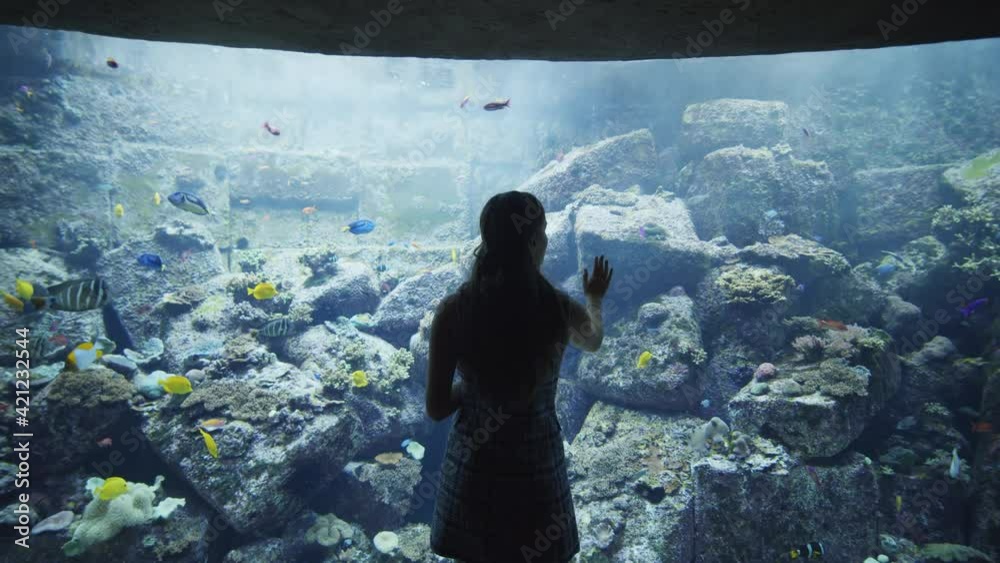 Woman touching the exhibit glass in Dubai Aquarium. Tourist enjoying the view of tropical fish in large aquarium fish tank
