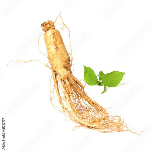 Fresh ginseng slices on white background.