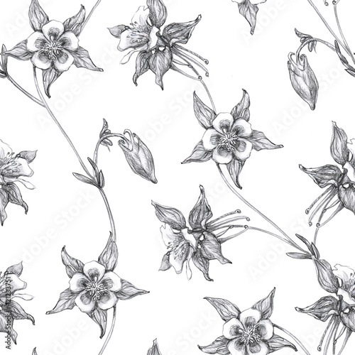 Foto Seamless Pattern  with black and white columbine flowers or aquilegia isolated on white background