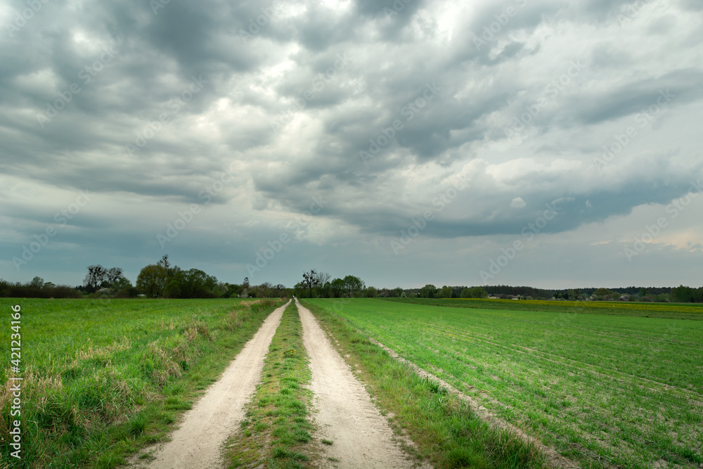 Country road through green fields and cloudy sky