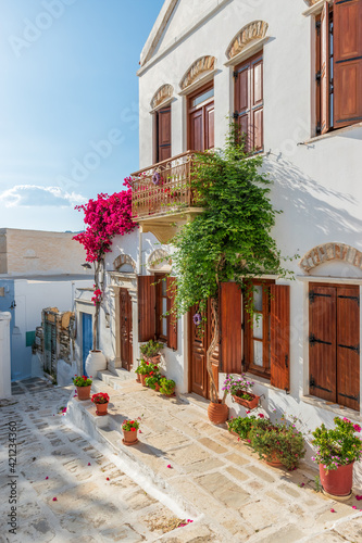 Traditional alley with a narrow street, whitewashed houses and a blooming bougainvillea in pyrgos Tinos island, Greece.