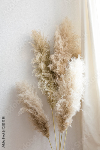 Dry pampas grass reeds against on white interior background. Beautiful pattern with neutral colors. Minimal, stylish, home living concept. 