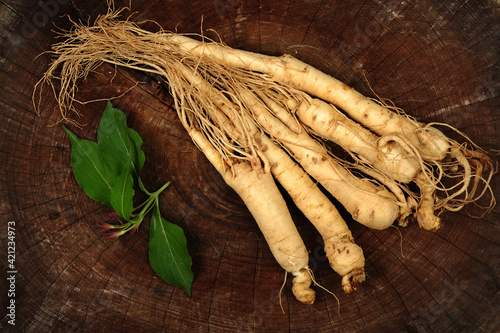 ginseng and slices ,medicine background.