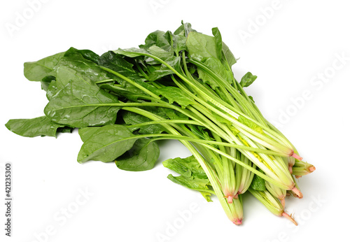 spinach leaf on white background.