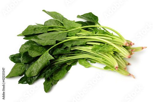 spinach leaf on white background.