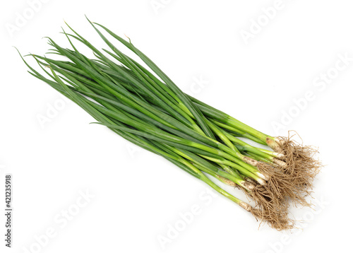 green onions (sometimes called shallots or scallions), isolated on white.