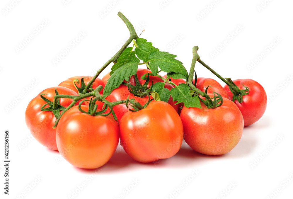 fresh tomatoes on white background.