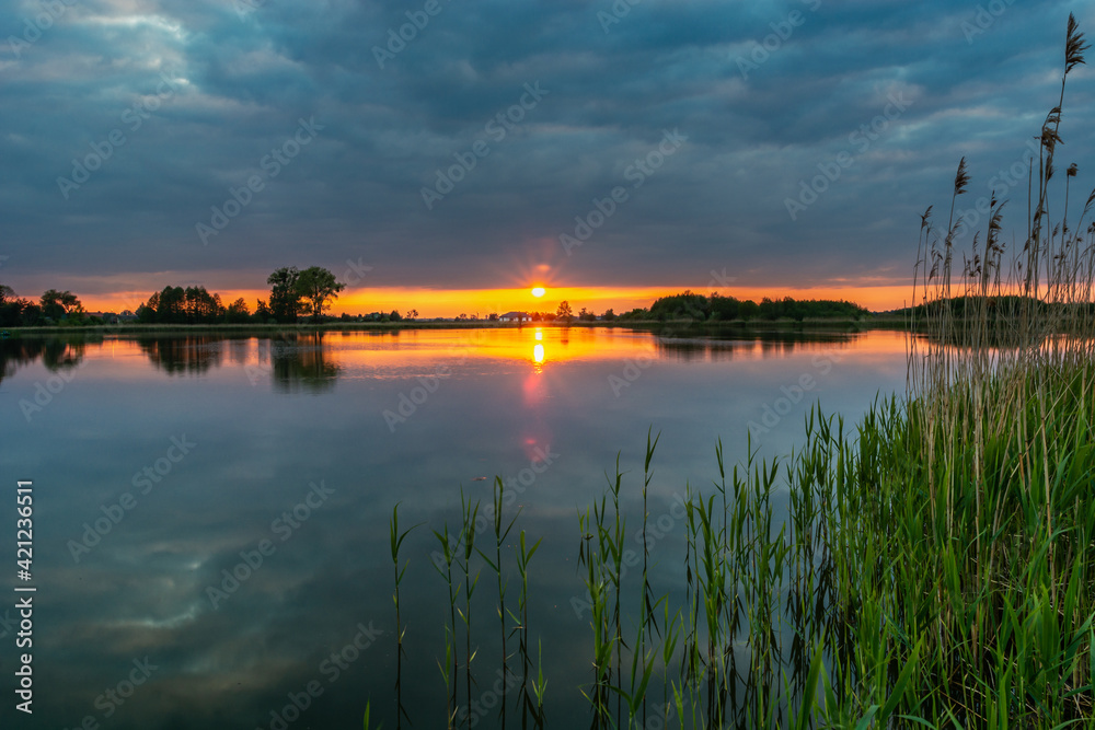 Reeds in the lake and sunset with dark clouds