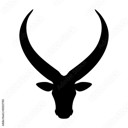 Ankole Watusi cattle head icon, vector illustration photo