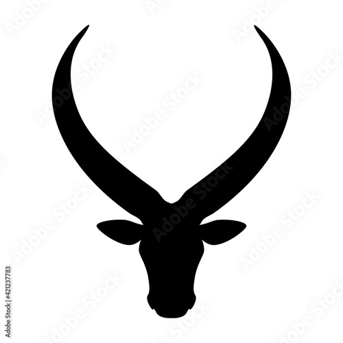 Ankole Watusi cattle head icon, vector illustration