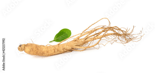 Fresh ginseng slices on white background.