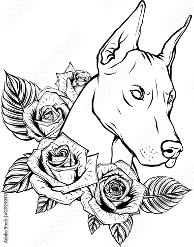 draw in black and white of vector Dobermann dog face with red roses