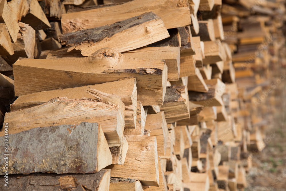 Pile of firewood. Preparation of firewood for the winter. Stacks of firewood in the forest. Pile of firewood. Preparation of firewood for the winter. Stacks of firewood in the forest.