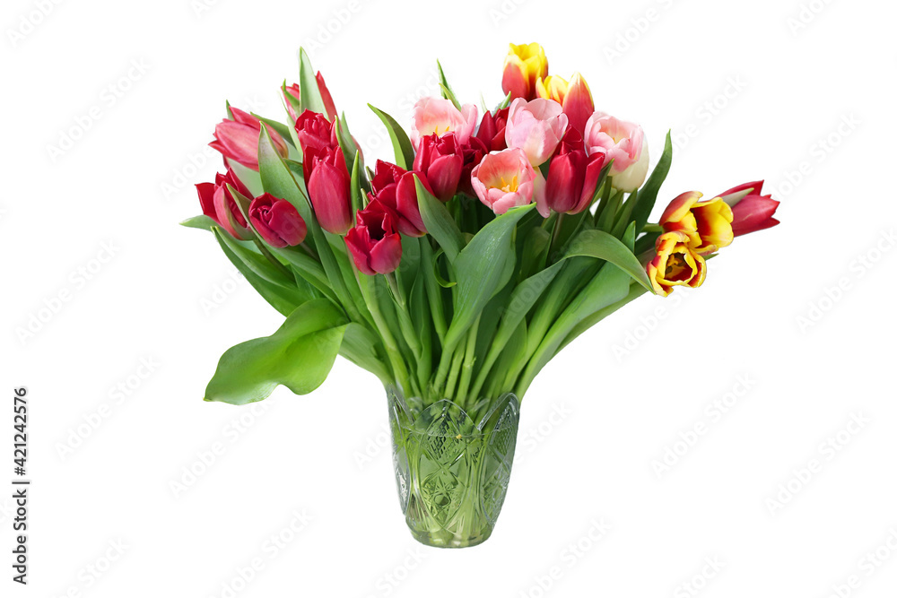 Obraz premium Beautiful bouquet with multicolored tulips in vase isolated